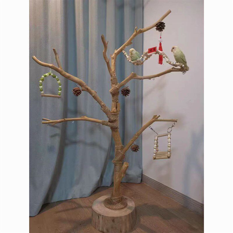 鸟站架树枝树杆鹦鹉站架树干原木站杆树杈秋千鸟笼实木灯架枯枝