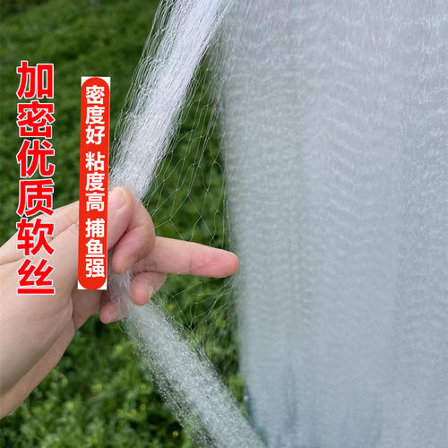 小鱼网三层白条餐条专用渔网粘网丝网浮网沉网捕鱼网6分1指小外套