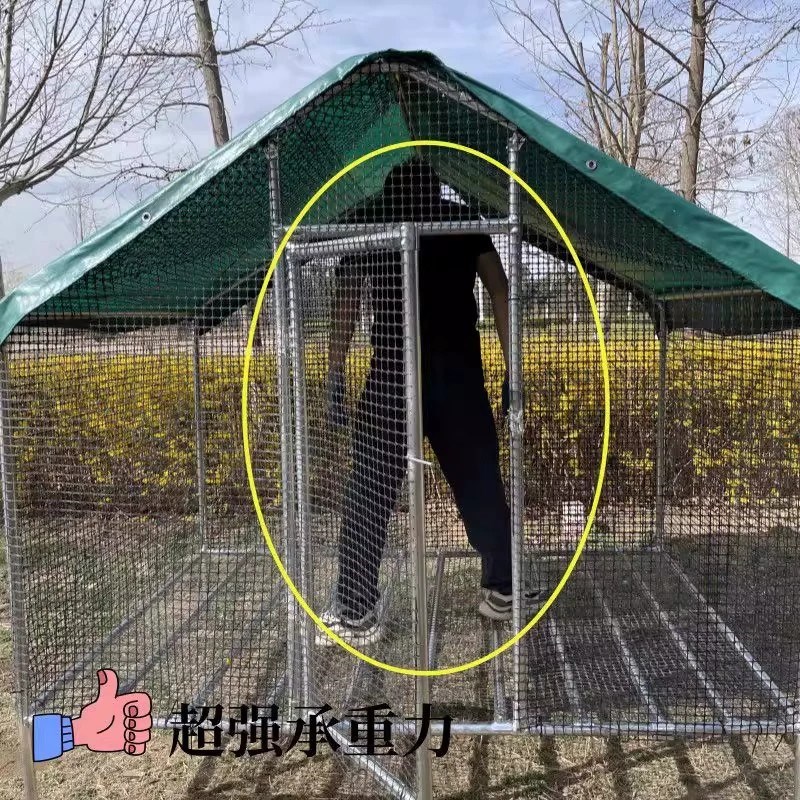 加高养殖棚养鸡棚防雨棚鸡窝鸡舍室外搭建家禽鸡笼子鸽舍家用鸡笼