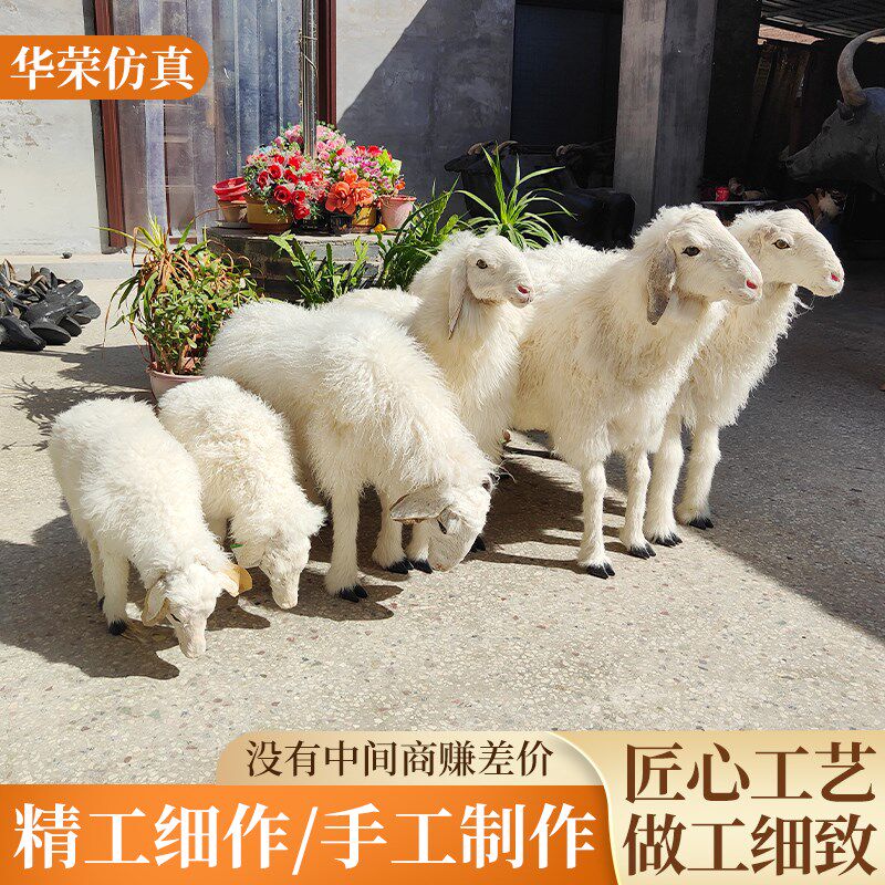 仿真科尔沁绵羊动物模型牧场园林奶粉店工艺品摆件商店庭院摆件