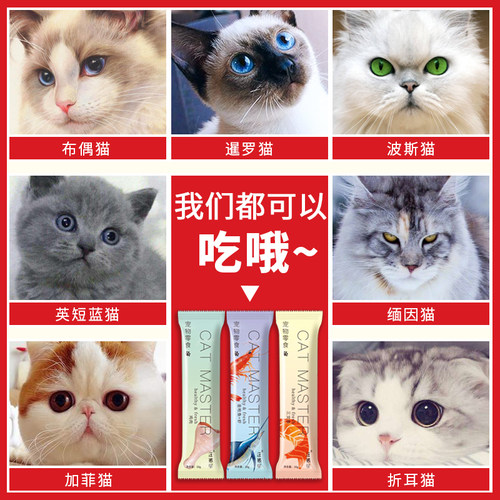 猫条100支整箱猫零食营养条成幼猫营养互动补水少掉毛罐头湿猫粮