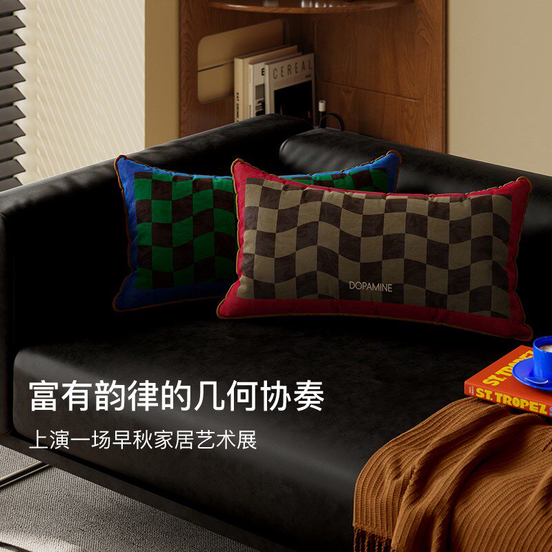 午后柏林中古风床上抱枕夹腿长条轻奢高级感沙发靠垫床头腰靠枕头