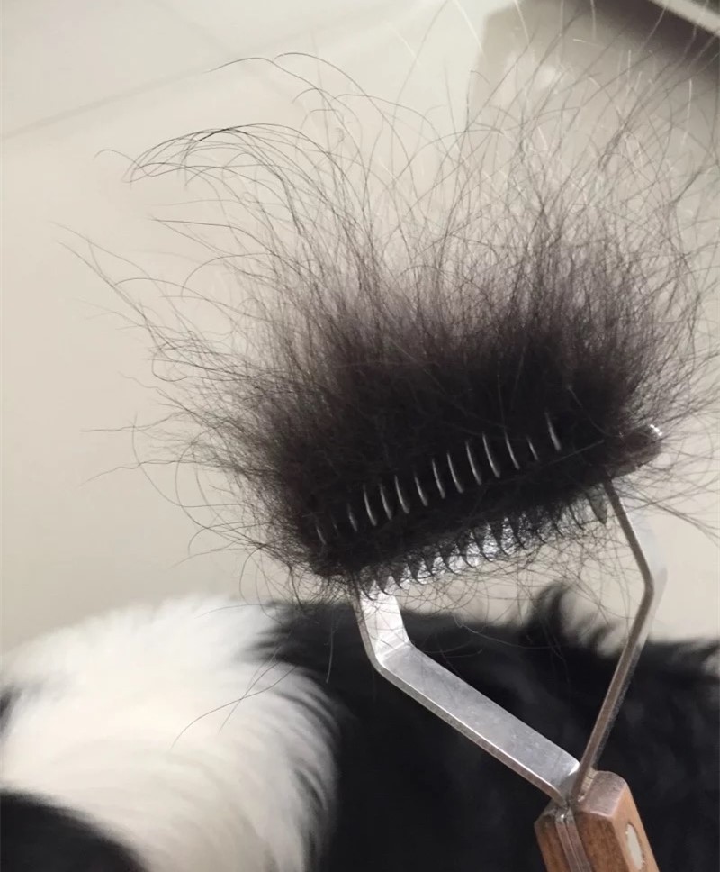 乐比Y型梳底绒梳狗猫绒毛梳开结金毛萨摩边牧死毛浮毛梳宠物毛刷