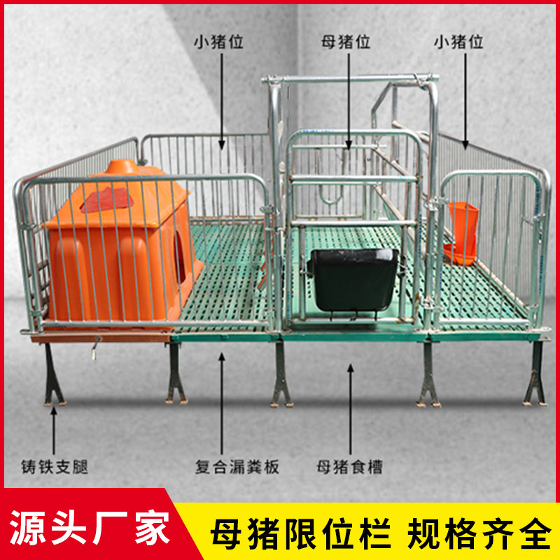 全复合母猪产床分娩床双体产保一体保育床养殖设备猪用单体产床