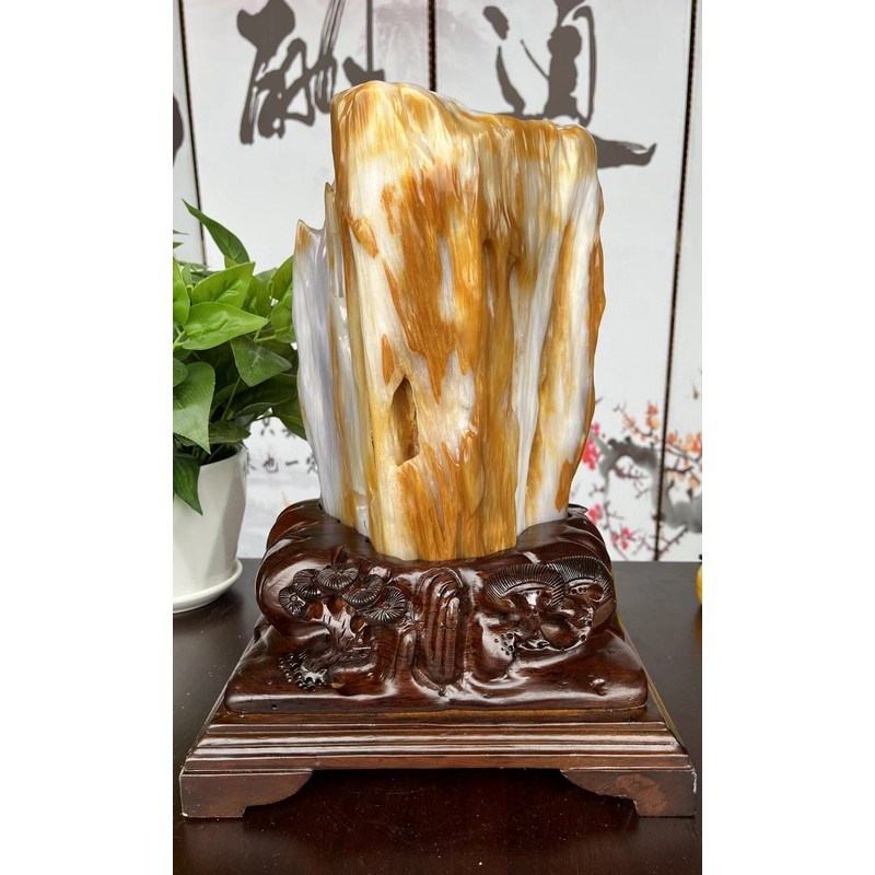 缅甸树化玉原石天然桌面奇石头客厅家居装饰品乔迁送礼工艺品摆件
