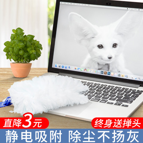 静电除尘掸一次性鸡毛禅子家用清洁防尘扫灰神器缝隙刷可伸缩毯子