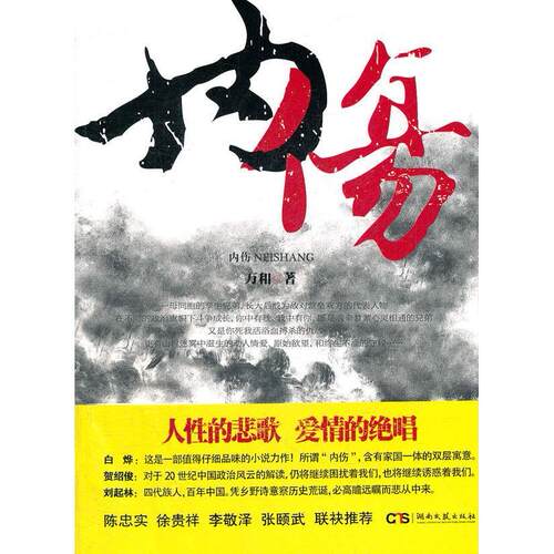 正版新书 内伤 万和 湖南文艺出版社