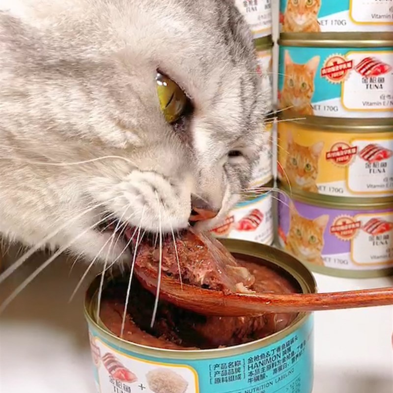 唤醒红肉猫罐头猫咪零食金枪鱼鸡肉成猫幼猫增肥湿粮170克*22罐装