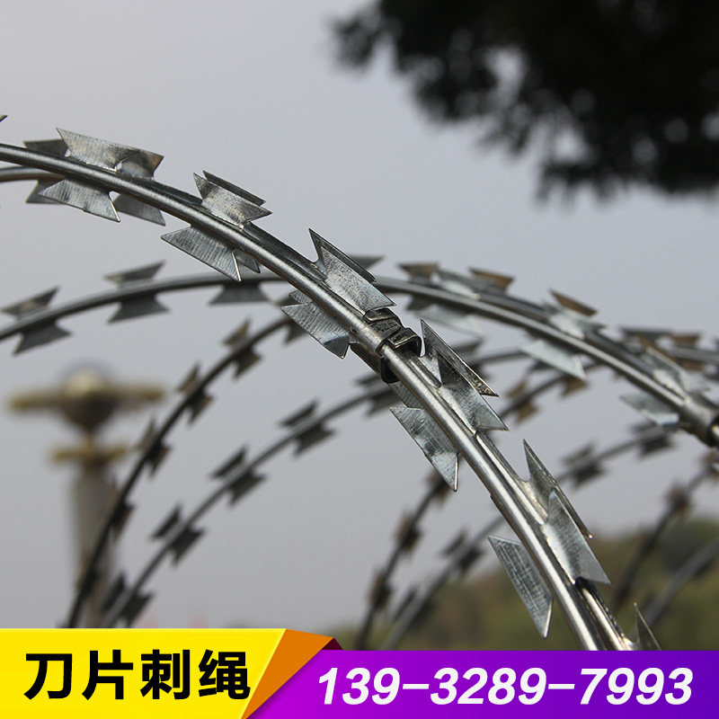 刀片刺绳刺网不锈钢刺丝滚笼热镀锌防盗网带刺铁丝防爬钢丝铁蒺藜