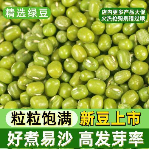 东北绿豆新货易沙易煮50斤装