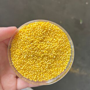 进口小米大粒软糯煮粥俄罗斯纯小米50斤油脂多质地松软