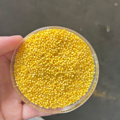 俄罗斯小米大颗粒饱满松软粥用