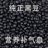 熟黑豆炒货干炒纯正黑豆绿芯小黑豆健康高蛋白磨豆浆粉批发
