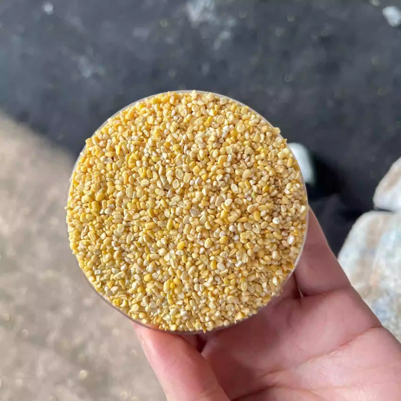 去皮绿豆碎非绿豆瓣米新鲜无壳脱皮绿豆碎瓣商用绿豆汤糕绿豆圆