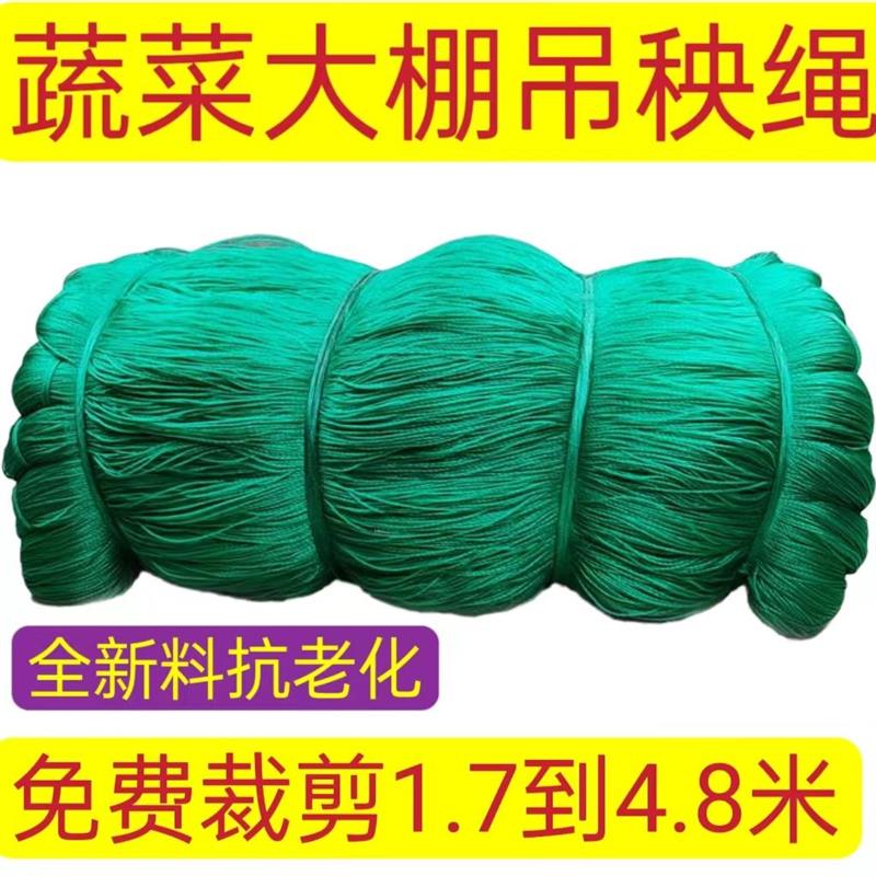 吊秧绳吊蔓绳黄瓜西红柿辣椒吊绳蔬菜大棚尼龙绳耐磨聚乙烯线农用