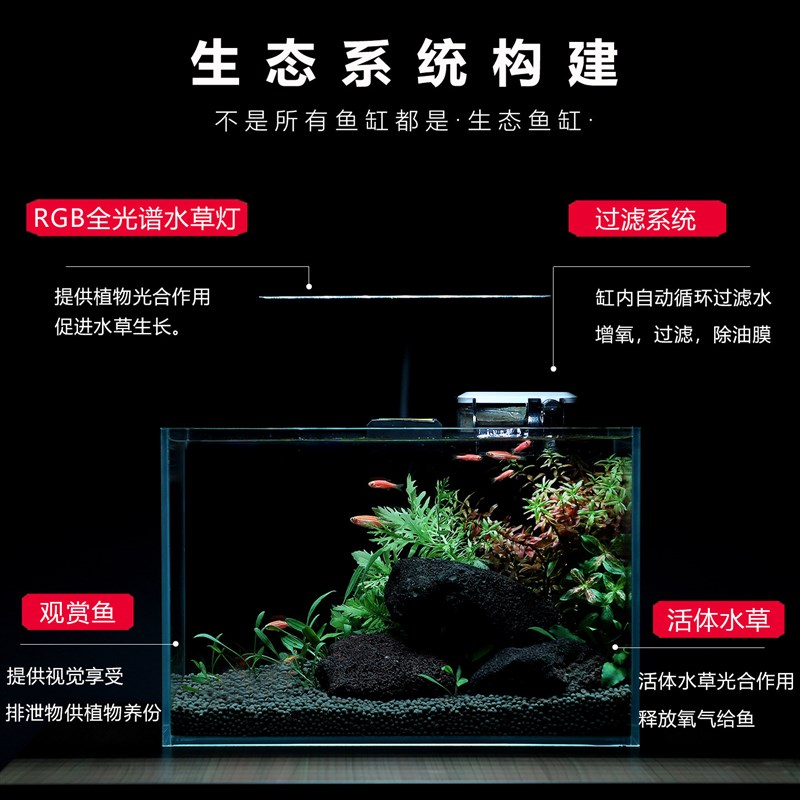 桌面生态草缸活体真草小型免换水自循环缸办公室造景全套超白鱼缸