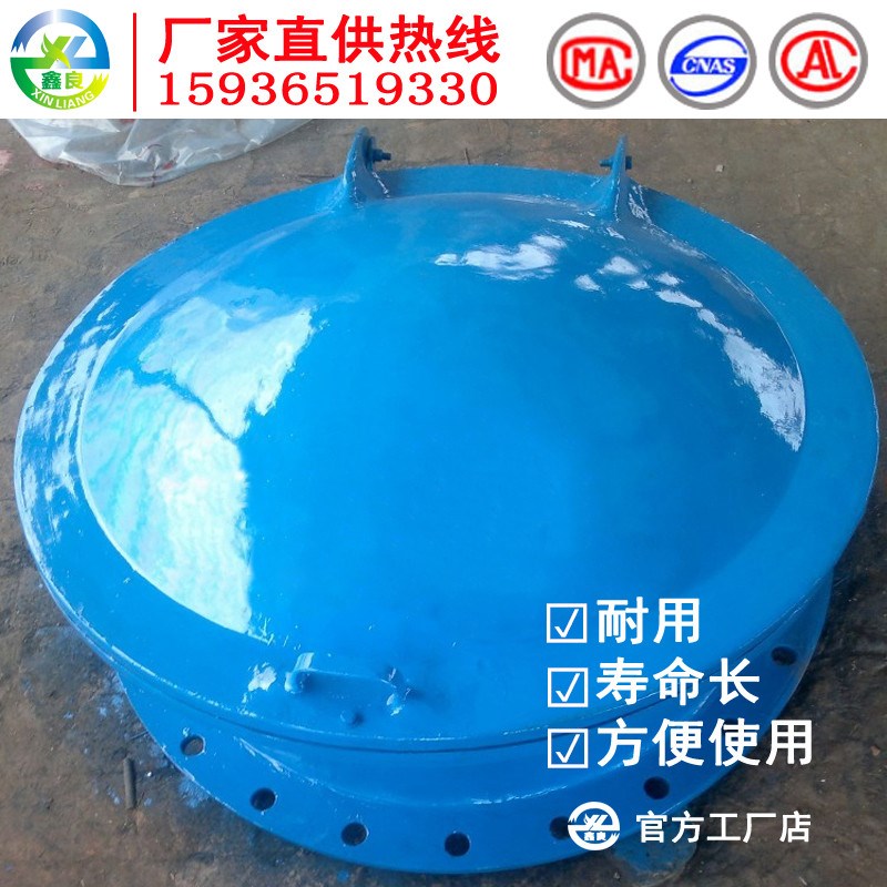 污水拍门 铸铁拍门 铸铁拍门阀 水处理阀 不锈钢拍门 厂家直销