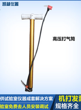 手动高压打气筒 混凝土试模脱模专用打气筒 脱模枪电动脱模器气泵