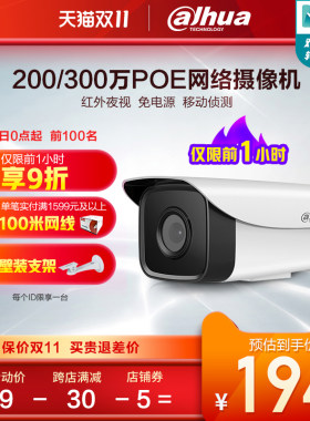 大华300/200万网络摄像头POE供电高清夜视监控室外DH-P20/30