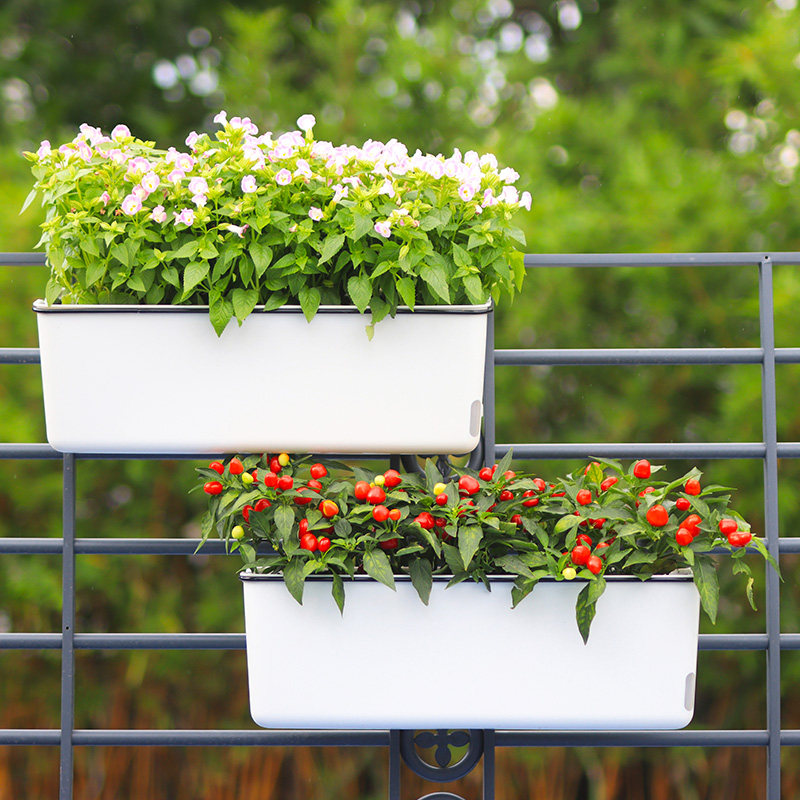 阳台自吸水懒人长方形花盆壁挂种菜盆专用蔬菜种植箱塑料长条花槽