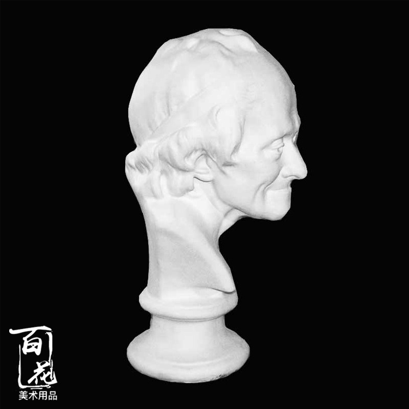 伏尔泰石膏像50cm美术用品写生教具静物绘画素描头像胸像包邮