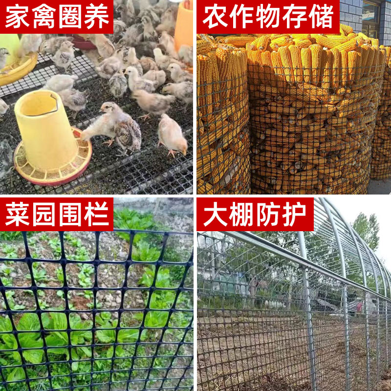 养殖网围栏网圈玉米网果园栅栏围挡圈养鸡围栏网防护隔离网塑料网