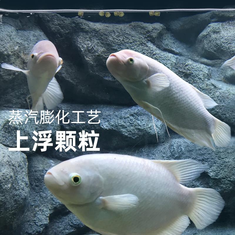 招财鱼饲料招财专用鱼食发财鱼战船鱼鱼饲料热带观赏鱼地图鱼鱼粮
