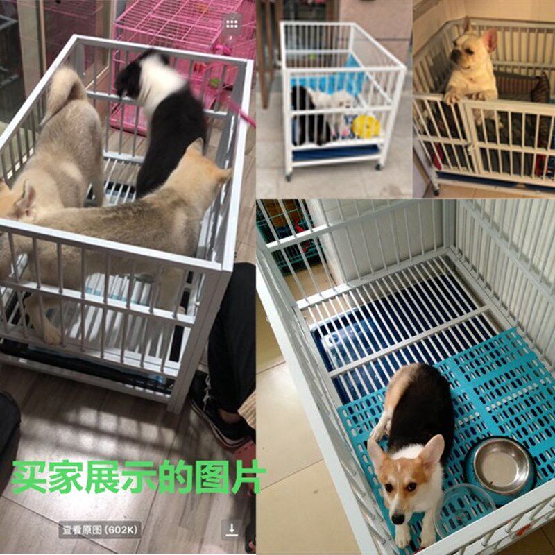镀锌狗笼子加厚穿管跑床小型犬中大型犬展示笼室内宠物店寄养狗狗