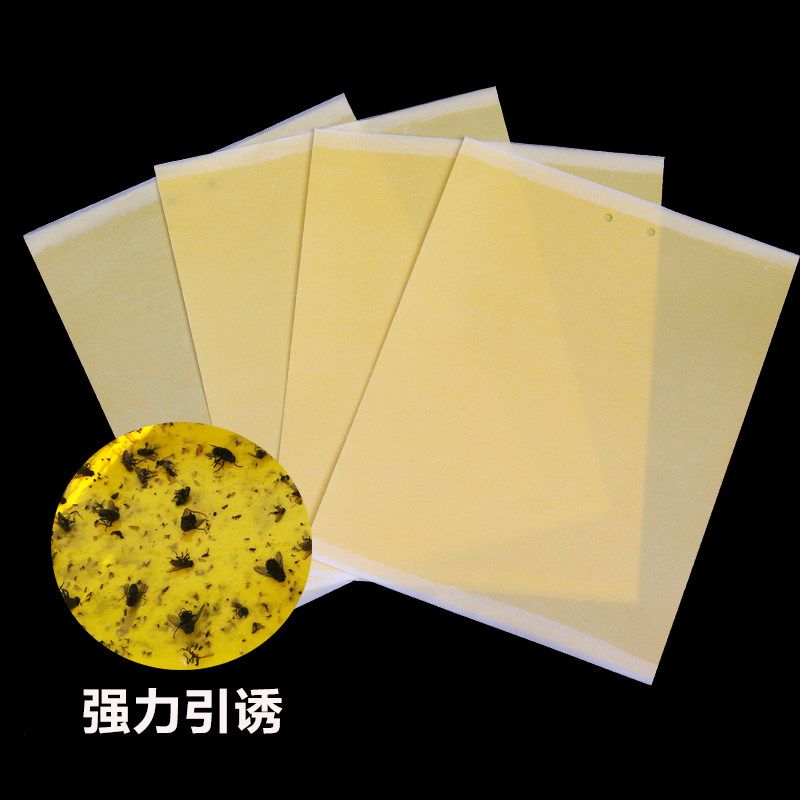 粘虫黄板蓝板黏虫板飞虫贴果树菜园飞虫沾虫板茶果园粘蝇纸板防水
