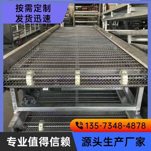 不锈钢链条网带传送带网链清洗机果蔬海鲜清洗喷涂流水线链条网带