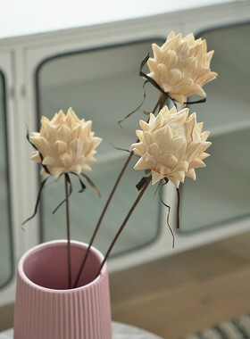白色笋壳花北欧家居软装天然植物干花真花干果果实手工花束装饰品