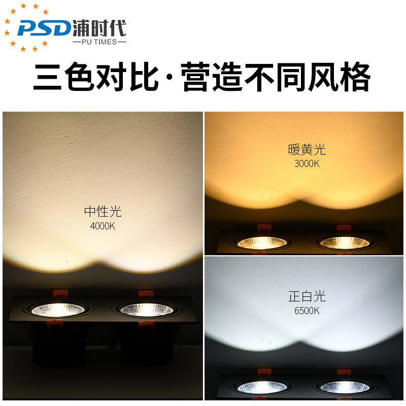 led双头射灯双孔20*10嵌入式格栅天花灯8*16方形黑色斗胆灯展厅灯