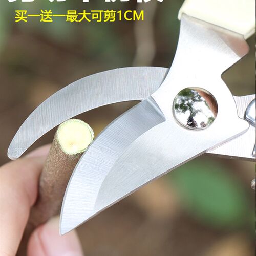宜棵园艺剪刀工具绿化家用修枝剪树枝花卉多功能修剪省力方便耐用
