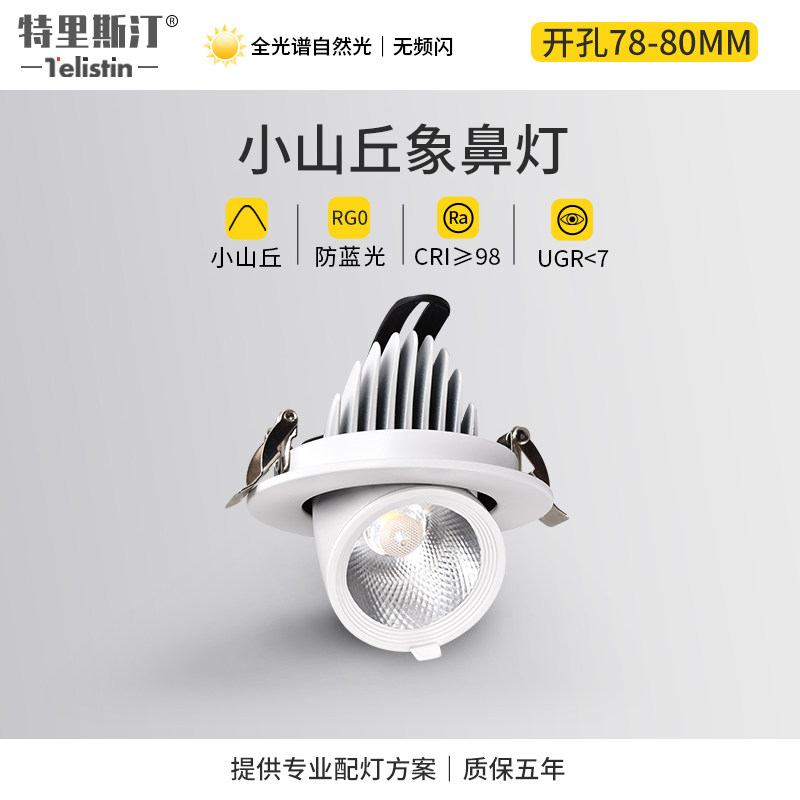 象鼻灯可调角度嵌入式背景墙小山丘洗墙走廊过道照画led天花射灯