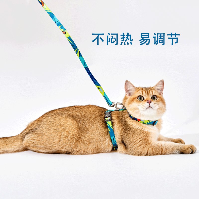 小佩猫咪胸背带森系绿遛猫绳 防挣脱家用猫链子背心式牵引绳