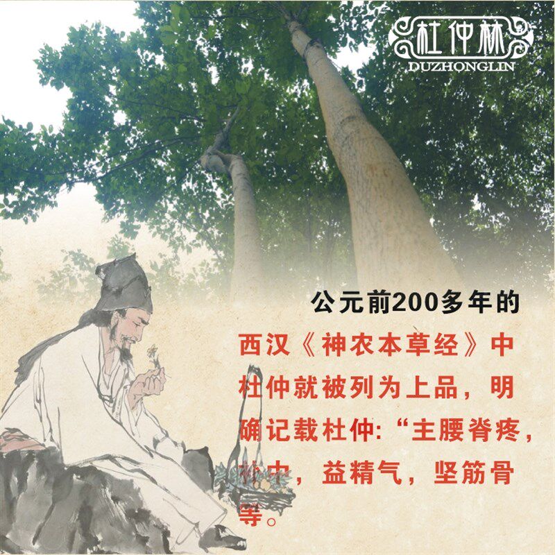 杜仲林带皮杜仲圆形颈椎枕木枕头圆木枕护颈枕颈椎枕包邮支持定做