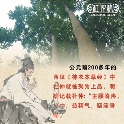 杜仲林带皮杜仲圆形颈椎枕木枕头圆木枕护颈枕颈椎枕包邮支持定做