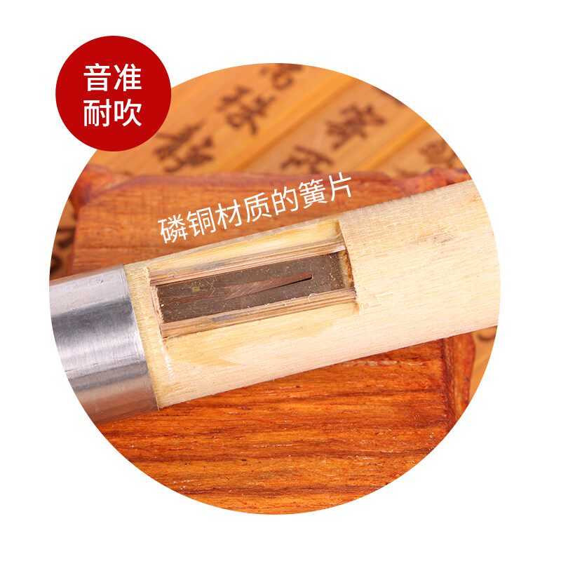 葫芦丝C调降B调云南镀铜拉丝紫竹葫芦丝成人儿童初学入门演奏防摔