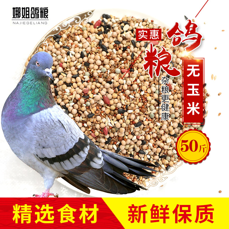 50斤2020新无玉米鸽子粮营养饲料鸟食信鸽观赏鸽肉鸽幼鸽成鸽粮食