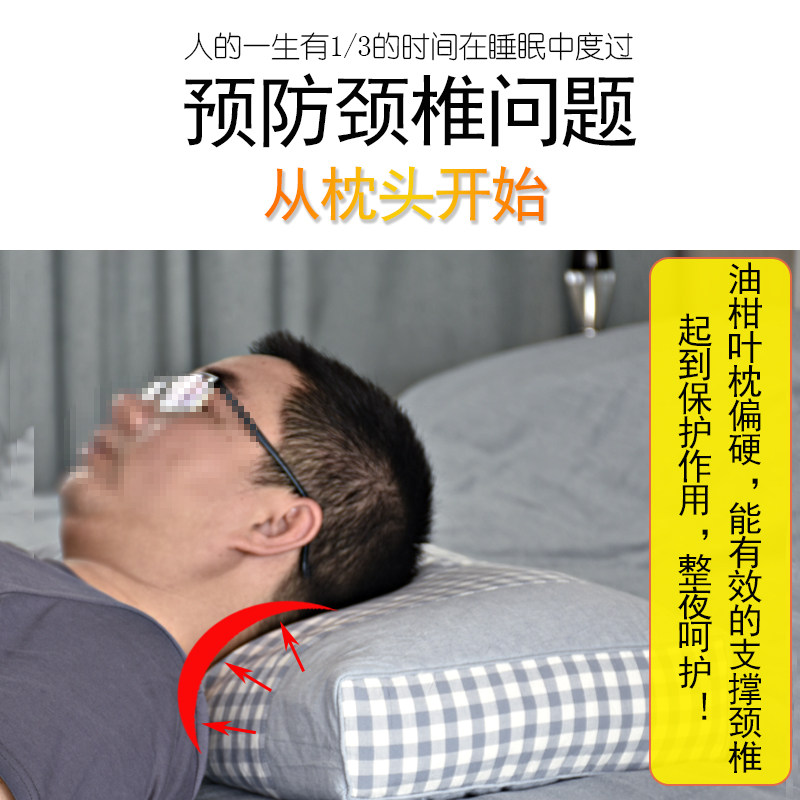 天然油柑叶枕芯野生牛柑果叶枕牛甘子叶枕助眠中药枕护颈夏天枕头
