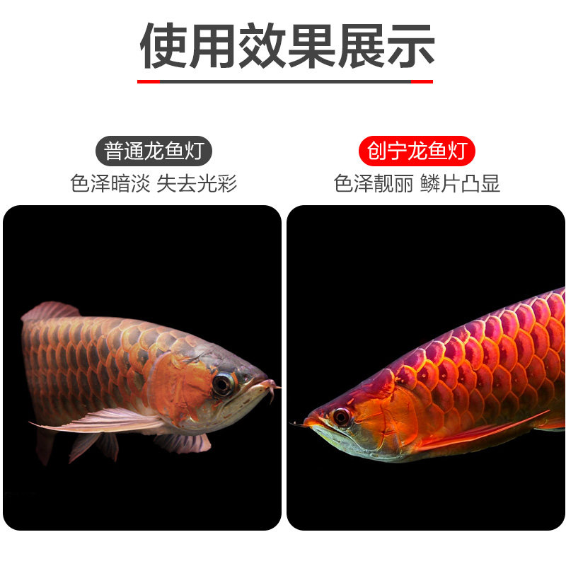 鱼缸灯LED灯防水潜水三基色增艳诱色龙鱼专用锦鲤七彩水族照明灯