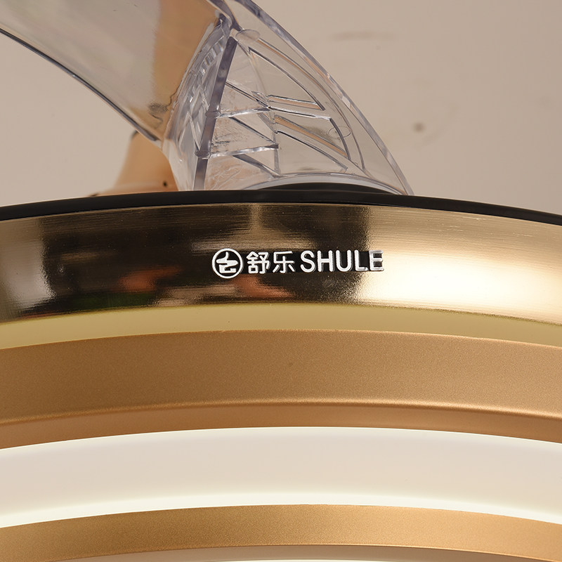 舒乐牌超薄静音家用隐形吊扇灯变频节能客厅餐厅卧室风扇灯包安装