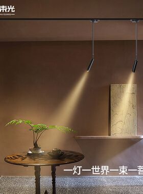 一束光聚光射灯小角度轨道长杆客厅禅意摆件寺庙茶舍雕塑字画玉石