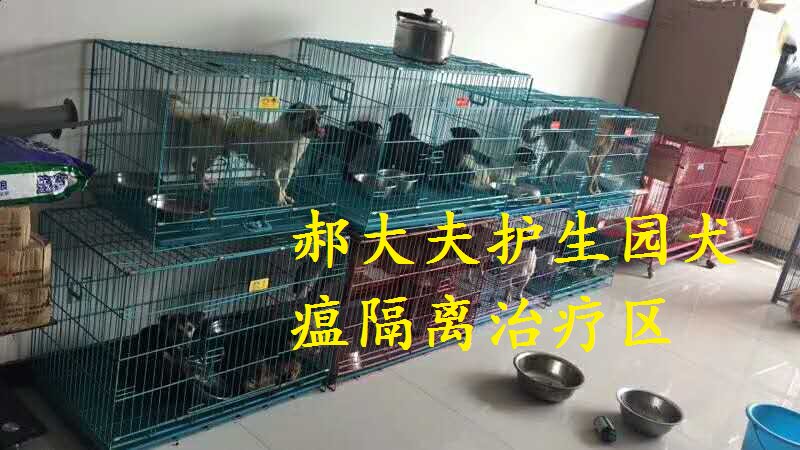 【爱心义卖】郝大夫北辰护生园纪念明信片10张