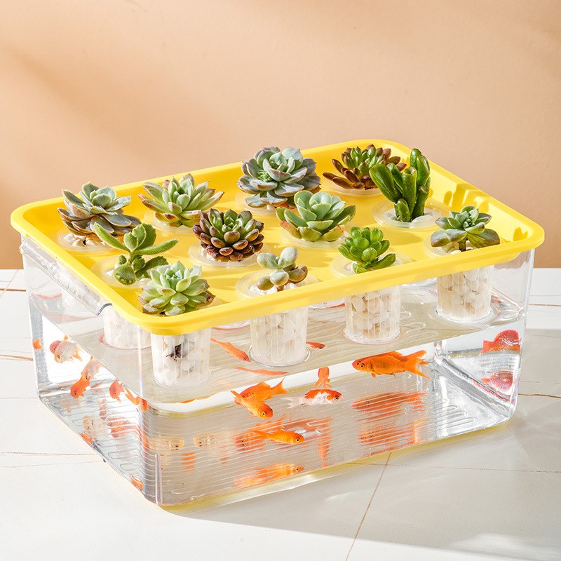 塑料透明鱼缸造景无土栽培设备种植箱静态阳台种菜水培植物育苗箱