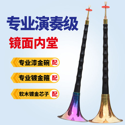 唢呐乐器全套专业演奏级镜面堂乌木C降B大G初学者d调成人儿童喇叭