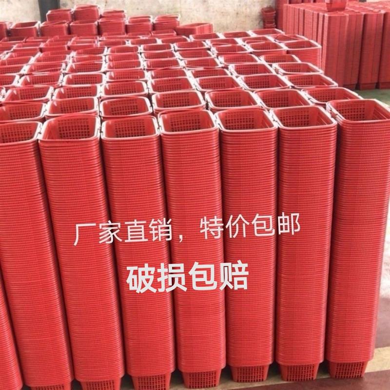 草莓采摘篮葡萄篮塑料水果筐子小番茄杨梅篮樱桃桑葚篮方形手提篮