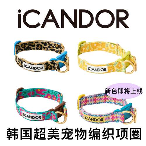 icandor韩国进口宠物项圈狗脖套遛狗绳中小型犬比熊项圈正品保证