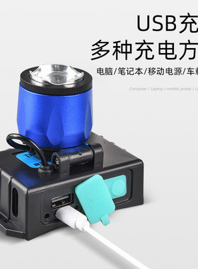 紫光蝎子灯LED头灯感应白紫双光源头戴式强光可充电蓝光钓鱼家用