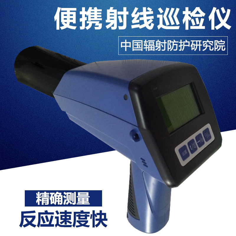FJ1200环境级x 辐射测量仪 环境级射线辐射巡检仪 环保许可认证